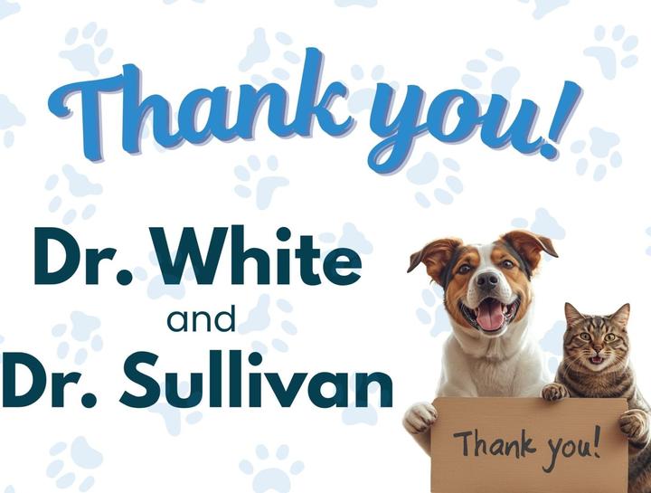 A Heartfelt Farewell to Dr. Brittany White and Dr. Melissa Sullivan
