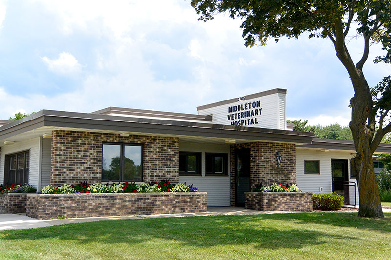 Middleton veterinary hospital