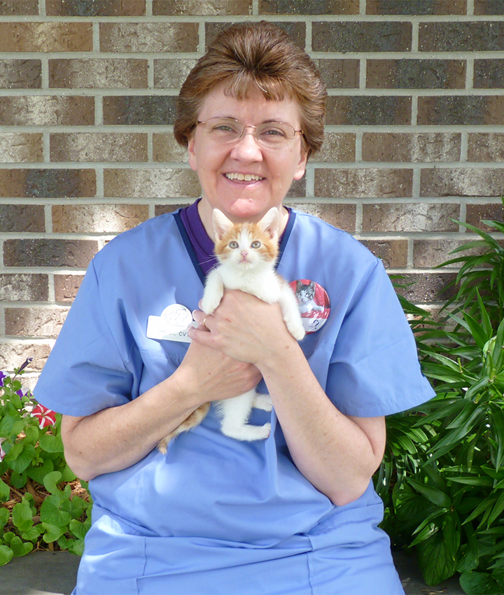 Heidi Beyer