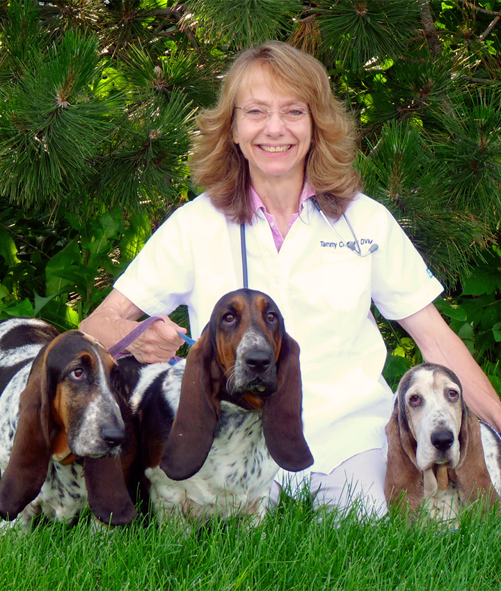 Dr. Tamara Cherney, DVM