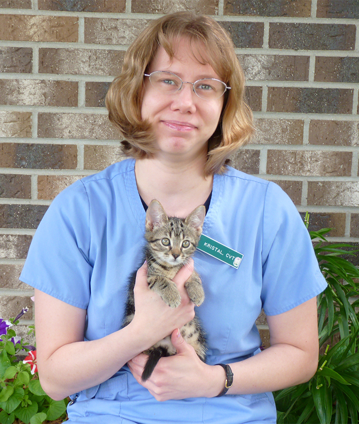 Cat & Dog Veterinarians | Experienced Veterinarians in Middleton